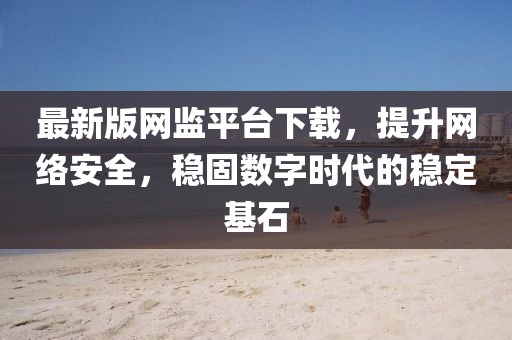 最新版网监平台下载，提升网络安全，稳固数字时代的稳定基石