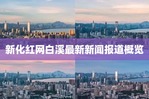 新化红网白溪最新新闻报道概览