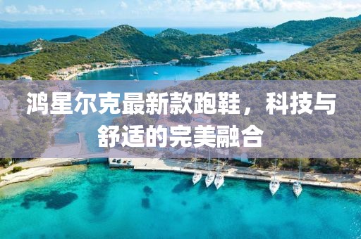 鸿星尔克最新款跑鞋，科技与舒适的完美融合