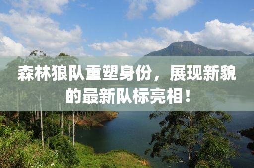 森林狼队重塑身份，展现新貌的最新队标亮相！