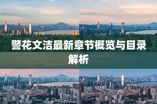 警花文洁最新章节概览与目录解析