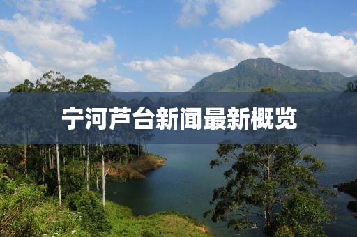 宁河芦台新闻最新概览