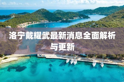 洛宁戴耀武最新消息全面解析与更新