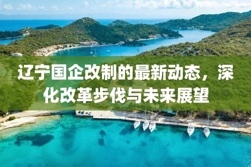 辽宁国企改制的最新动态，深化改革步伐与未来展望