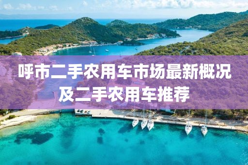 呼市二手农用车市场最新概况及二手农用车推荐