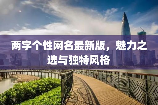 两字个性网名最新版，魅力之选与独特风格
