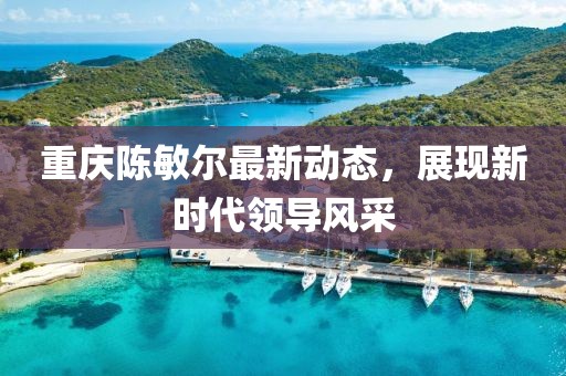 重庆陈敏尔最新动态，展现新时代领导风采