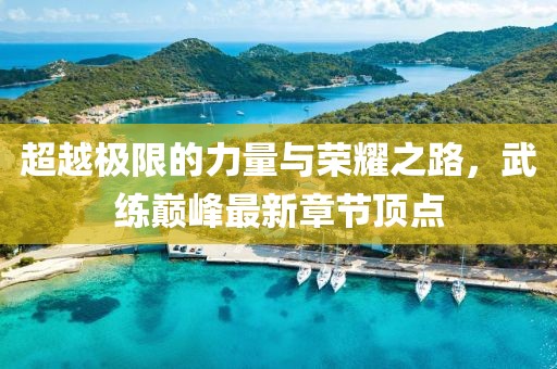 超越极限的力量与荣耀之路，武练巅峰最新章节顶点