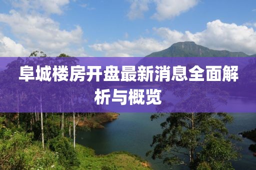 阜城楼房开盘最新消息全面解析与概览