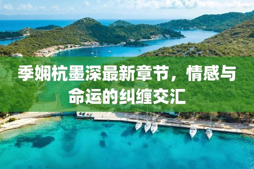 季娴杭墨深最新章节，情感与命运的纠缠交汇