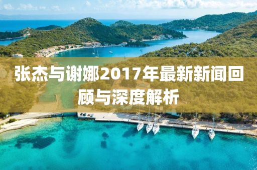 张杰与谢娜2017年最新新闻回顾与深度解析