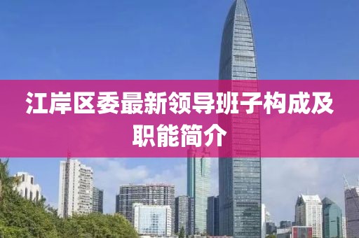 江岸区委最新领导班子构成及职能简介