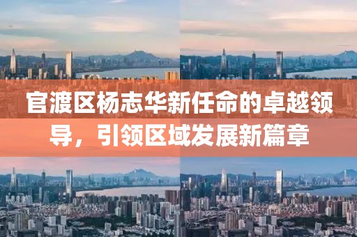 官渡区杨志华新任命的卓越领导，引领区域发展新篇章