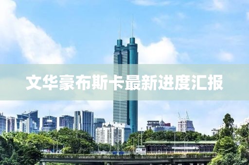 文华豪布斯卡最新进度汇报