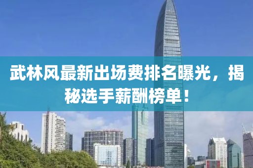 武林风最新出场费排名曝光，揭秘选手薪酬榜单！
