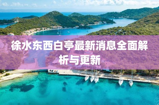 徐水东西白亭最新消息全面解析与更新