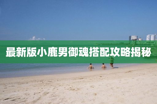 最新版小鹿男御魂搭配攻略揭秘