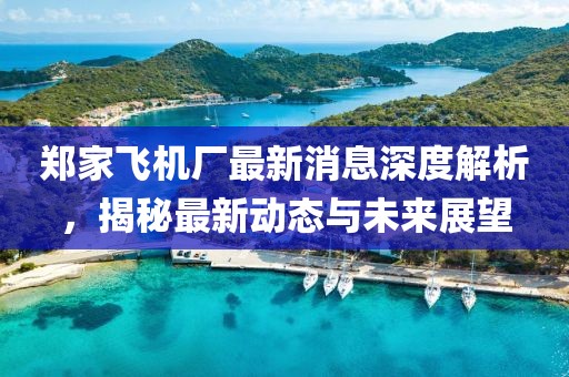 郑家飞机厂最新消息深度解析，揭秘最新动态与未来展望