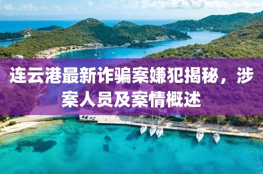 连云港最新诈骗案嫌犯揭秘，涉案人员及案情概述