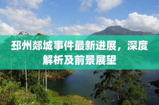 邳州郯城事件最新进展，深度解析及前景展望