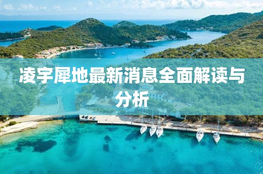 凌宇犀地最新消息全面解读与分析
