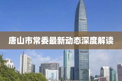 唐山市常委最新动态深度解读