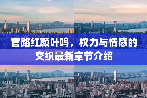 官路红颜叶鸣，权力与情感的交织最新章节介绍