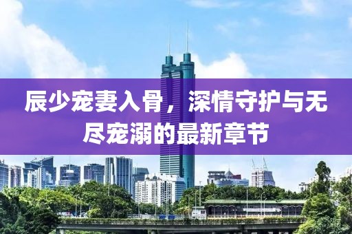 辰少宠妻入骨，深情守护与无尽宠溺的最新章节