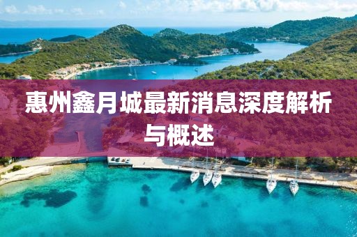 惠州鑫月城最新消息深度解析与概述