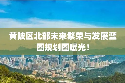 黄陂区北部未来繁荣与发展蓝图规划图曝光！