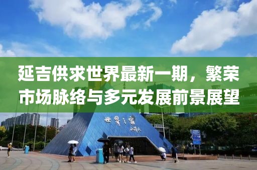 延吉供求世界最新一期，繁荣市场脉络与多元发展前景展望