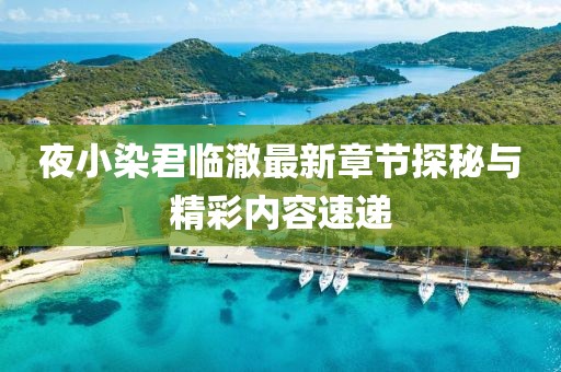 夜小染君临澈最新章节探秘与精彩内容速递