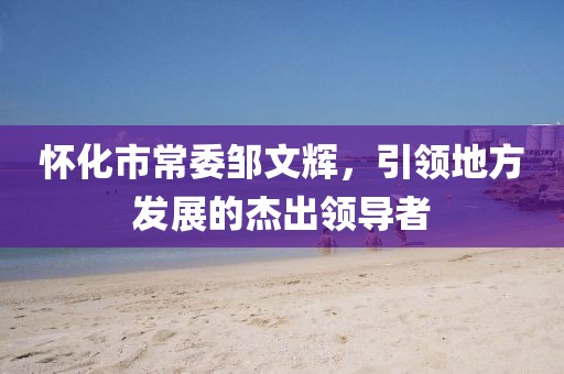 怀化市常委邹文辉，引领地方发展的杰出领导者