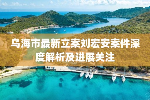 乌海市最新立案刘宏安案件深度解析及进展关注