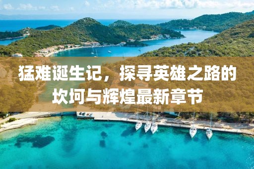 猛难诞生记，探寻英雄之路的坎坷与辉煌最新章节