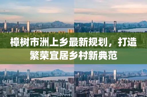 樟树市洲上乡最新规划，打造繁荣宜居乡村新典范