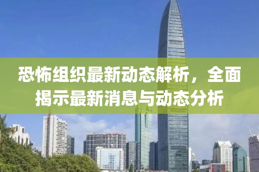 恐怖组织最新动态解析，全面揭示最新消息与动态分析