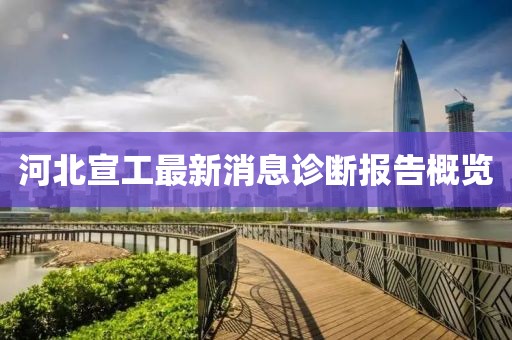 河北宣工最新消息诊断报告概览