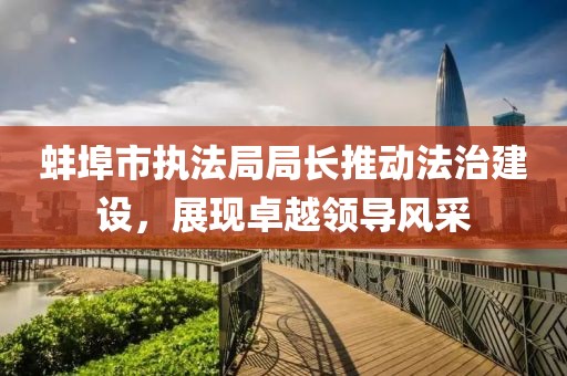 蚌埠市执法局局长推动法治建设，展现卓越领导风采