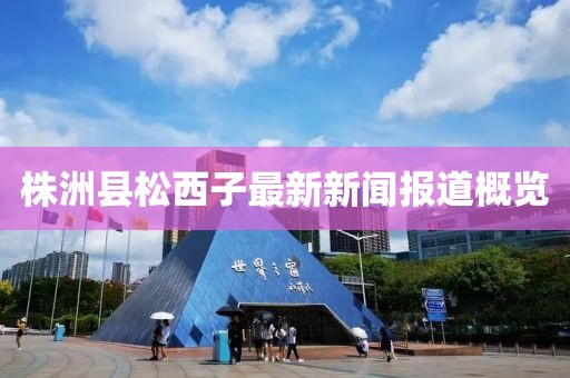 株洲县松西子最新新闻报道概览