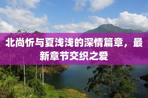 北尚忻与夏浅浅的深情篇章，最新章节交织之爱