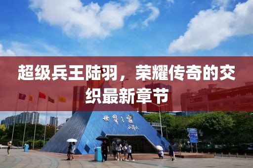 超级兵王陆羽，荣耀传奇的交织最新章节