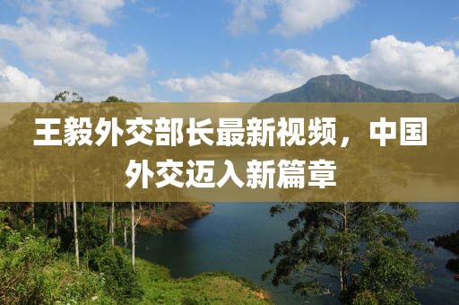 王毅外交部长最新视频，中国外交迈入新篇章