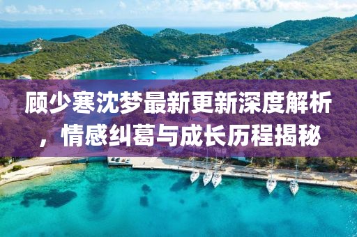 顾少寒沈梦最新更新深度解析，情感纠葛与成长历程揭秘