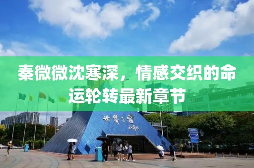 秦微微沈寒深，情感交织的命运轮转最新章节