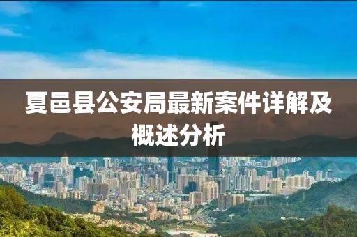 夏邑县公安局最新案件详解及概述分析