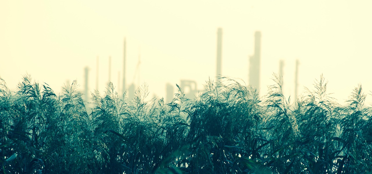 互联网整顿最新动态，重塑网络生态，共建和谐网络空间