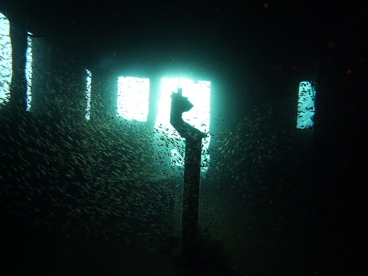 深海水族馆最新破解版，探索神秘海洋的无限魅力之旅