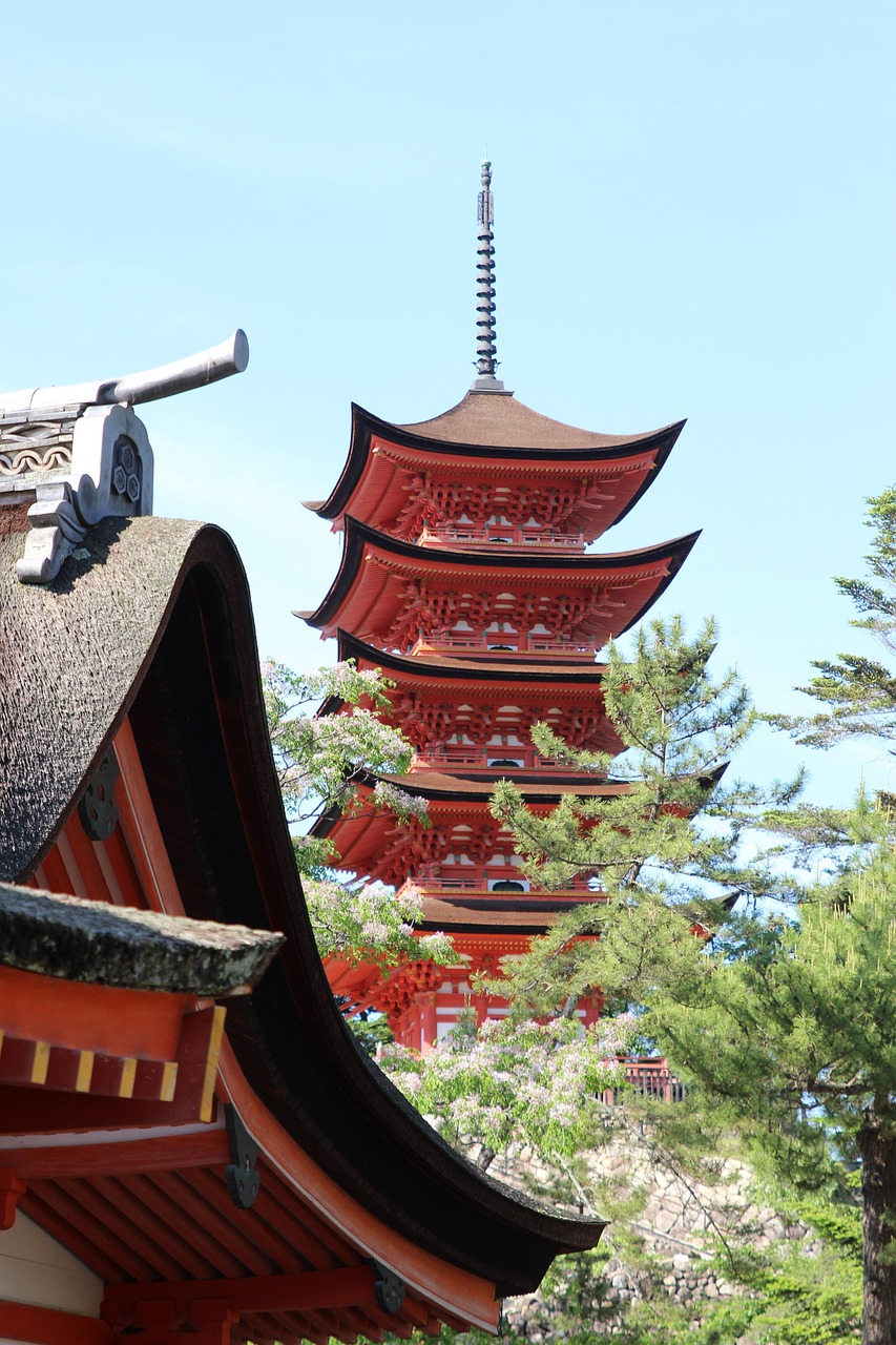 太原市红寺村最新动态更新