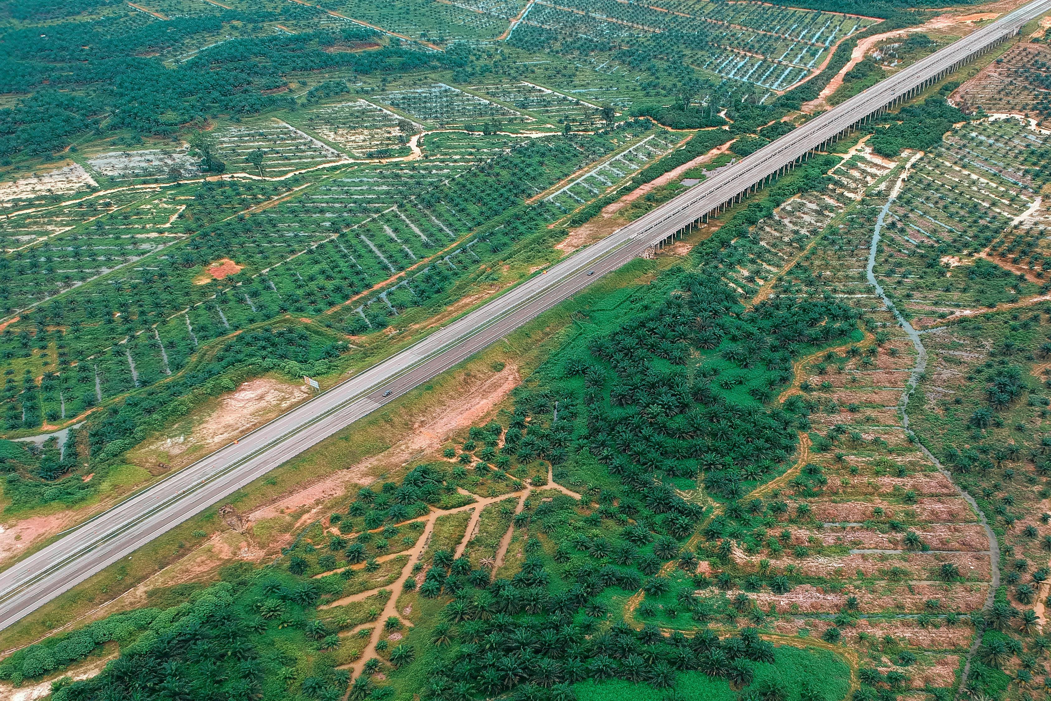 合贵高速公路最新进展报告更新，建设进度一览